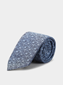 Галстук ERMENEGILDO ZEGNA модель Z9A001L8B Фото