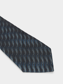 Галстук ERMENEGILDO ZEGNA модель Z3F031UMA Фото