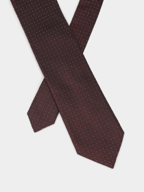 Галстук ERMENEGILDO ZEGNA модель Z4D411L8G Фото