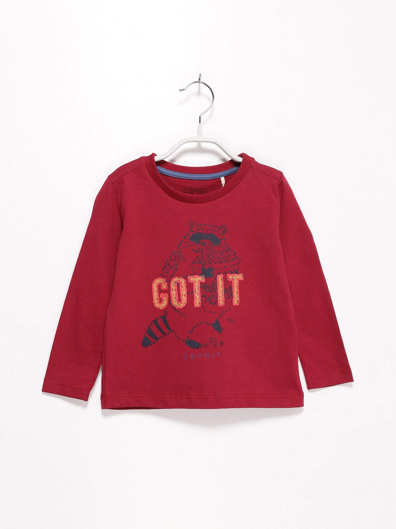 Лонгслив Esprit модель 7040941002_бордовий комб. Фото