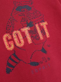 Лонгслив Esprit модель 7040941002_бордовий комб. Фото