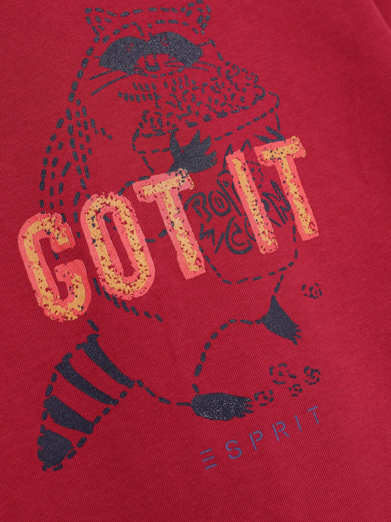 Лонгслів Esprit модель 7040941002_бордовий комб. Фото