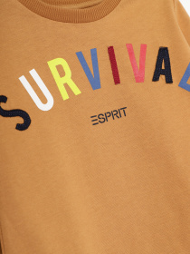 Лонгслів Esprit модель 7040941007_с.коричневий комб. Фото