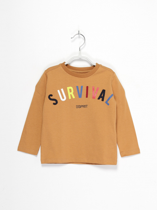 Лонгслив Esprit модель 7040941007_с.коричневий комб. Фото