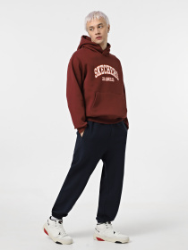 Худи Skechers Skech-Sweats La модель HD47 DKBR Фото