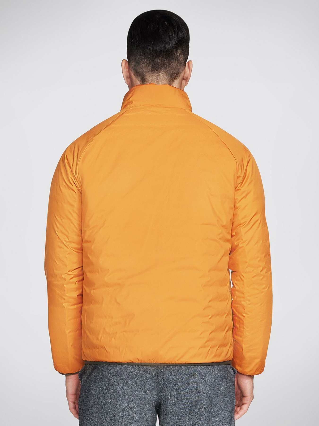 Демисезонная куртка Skechers GO Shield Altitude Reversible модель JA139 BROL Фото