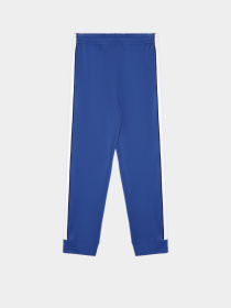 Штаны спортивные Skechers Premier Track модель PT130 RYL Фото