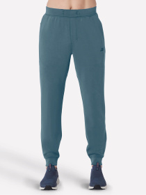 Джоггеры Skechers Skechcloud Elevate модель PT272 NVGY Фото