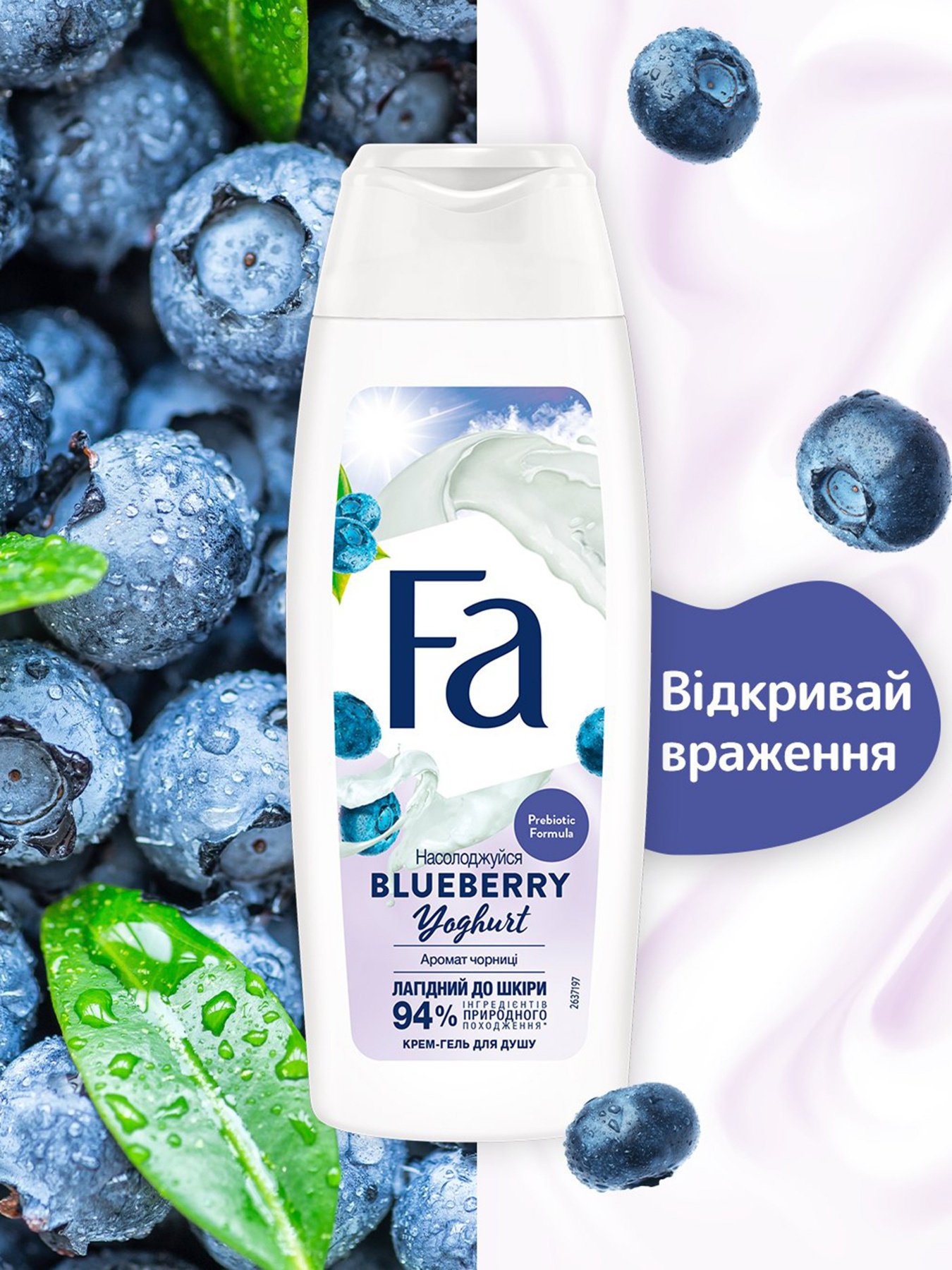 Yoghurt Fa модель 4015100190915 Фото