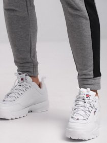 Кросівки повсякденні FILA Disruptor II Premium модель 1FM00139-125 Кросівки повсякденні FILA Disruptor II Premium модель 1FM00139-125 Фото
