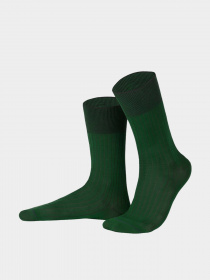 Шкарпетки Feeelings модель 701 361 Фото