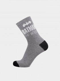 Носки Дюна модель 5204 Сірий Фото