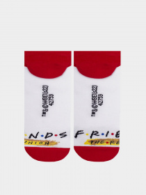 Носки Дюна модель 5301 Білий Фото