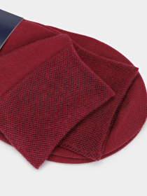 Шкарпетки Дюна модель 20105 вишневий Фото