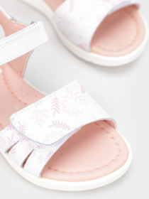 Сандалии Garvalin модель 232404-C Фото