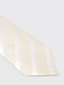 Галстук GIORGIO ARMANI модель 350027 4P360 00013 Фото