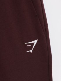 Штаны спортивные Gymshark модель GMBT3252_т.бордовий Фото