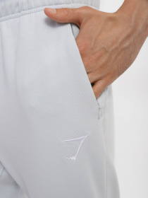 Штаны спортивные Gymshark модель GMJG028_с.блакитний Фото