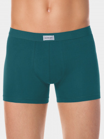 Труси DiWaRi модель 17С-341ТСП-turguoise Фото