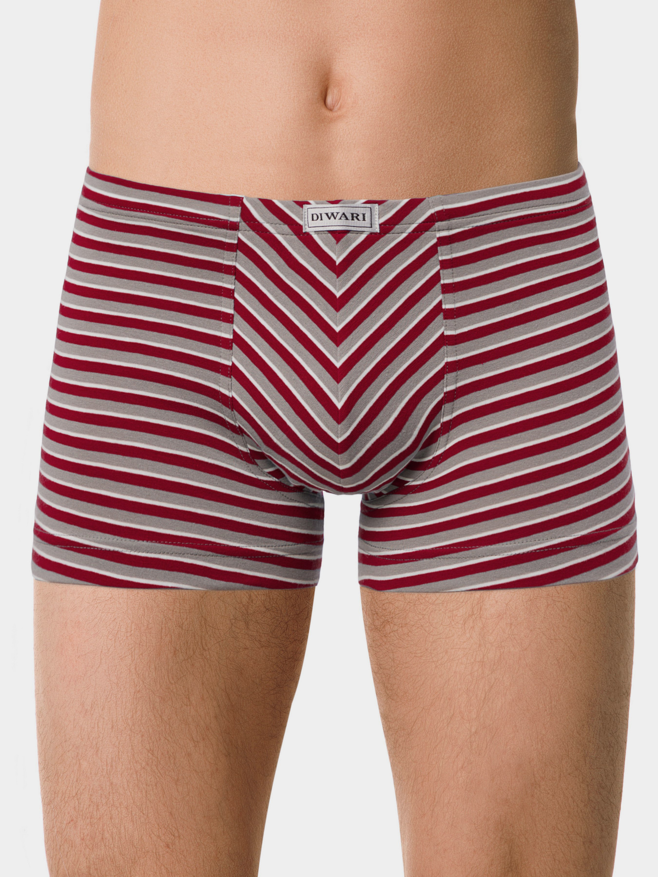Трусы DiWaRi модель 18С-622ТСП-grey-bordo Фото