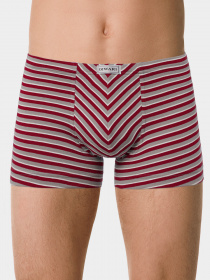 Трусы DiWaRi модель 18С-622ТСП-grey-bordo Трусы DiWaRi модель 18С-622ТСП-grey-bordo Фото