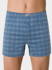 Трусы DiWaRi модель 19С-904ТСП-grey-blue Фото