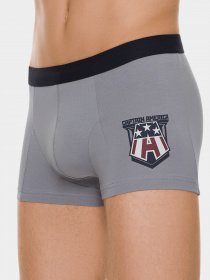 Трусы DiWaRi модель 18С-715ТСП-grey Трусы DiWaRi модель 18С-715ТСП-grey Фото