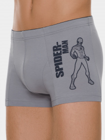 Трусы DiWaRi модель 18С-718ТСП-grey Трусы DiWaRi модель 18С-718ТСП-grey Фото