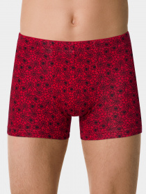 Трусы DiWaRi модель 18С-719ТСП-red Трусы DiWaRi модель 18С-719ТСП-red Фото