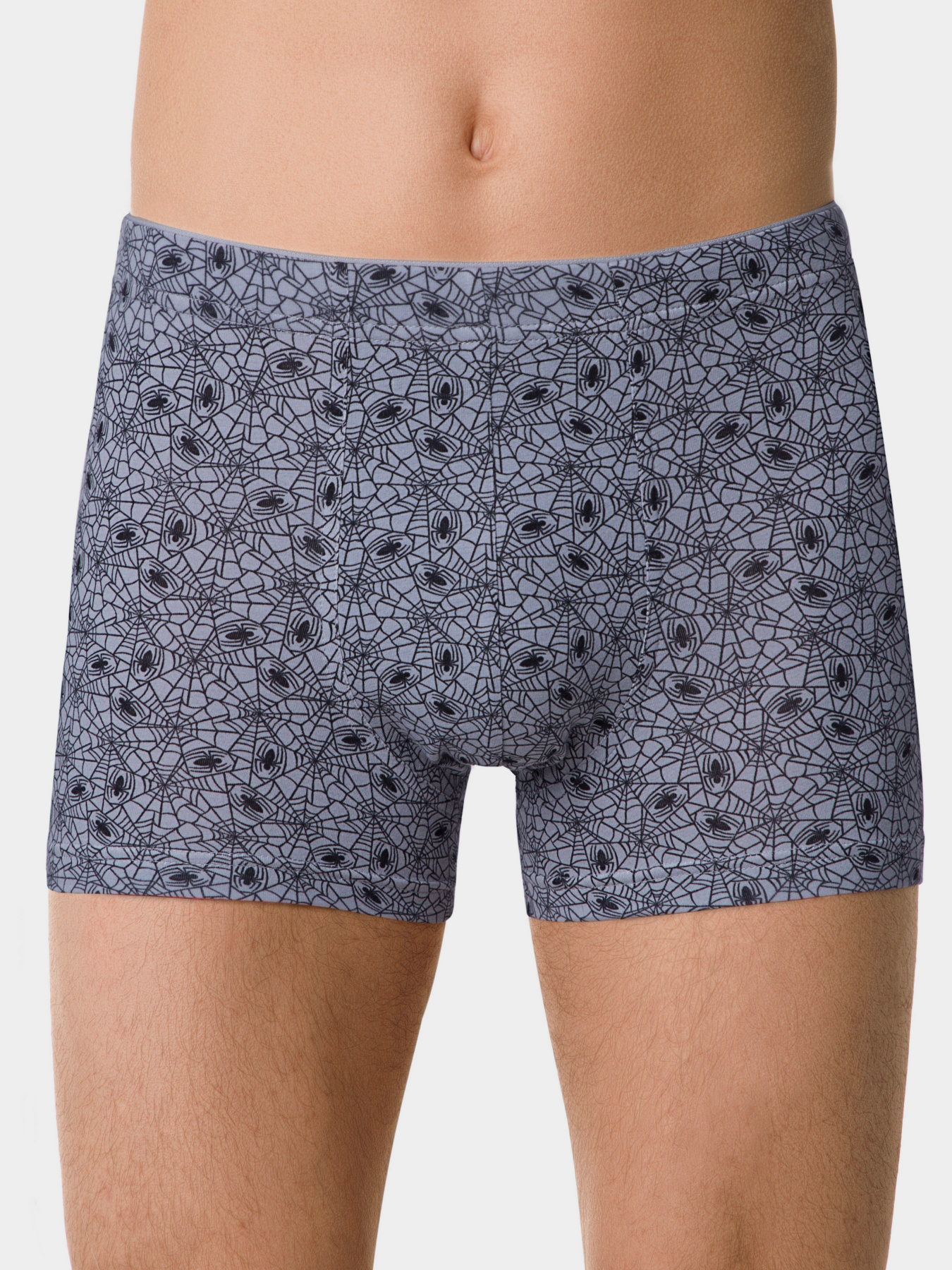 Трусы DiWaRi модель 18С-719ТСП-grey Фото