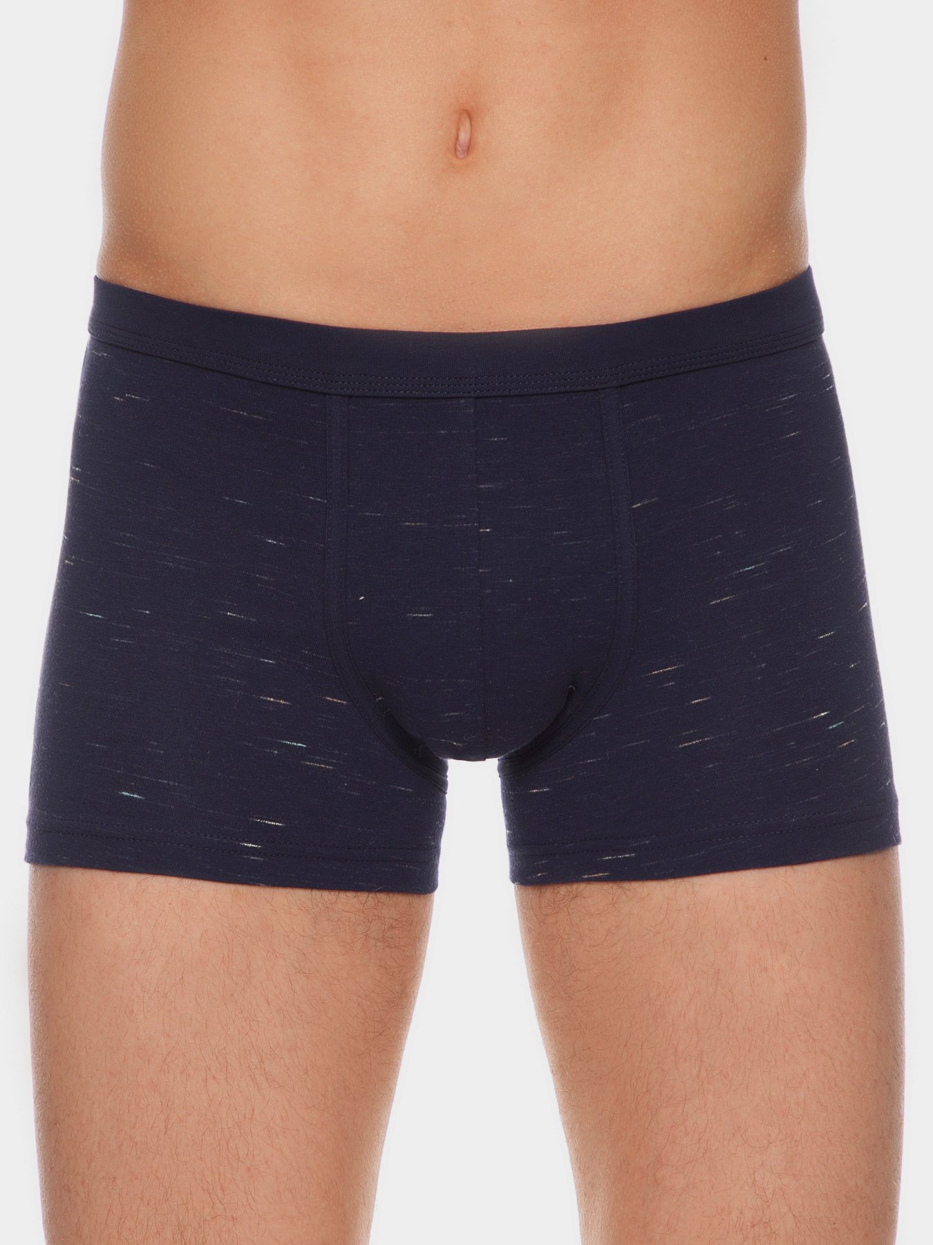 Труси DiWaRi модель 17С-447ТСП-dark blue melange Фото