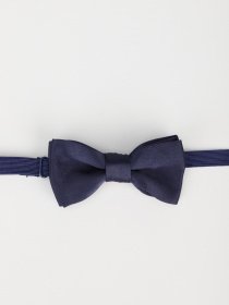 Бабочка H&M модель 0890700_т.синій Фото