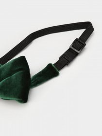 Бабочка H&M модель 0625703_т.зелений Фото