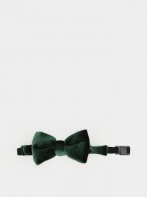 Метелик H&M модель 0625703_т.зелений Фото