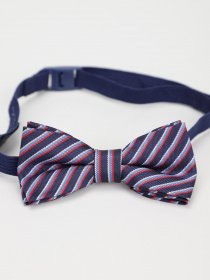 Бабочка H&M модель 0768858_комб. Фото