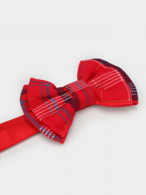 Бабочка H&M модель 0773051_червоний комб. Фото