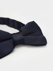 Бабочка H&M модель 0350911_т.синій Фото