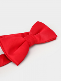 Бабочка H&M модель 0350911_червоний Фото