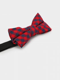 Бабочка H&M модель 0503831_ червоний з т.синім Фото