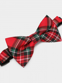 Бабочка H&M модель 0732986_червоний комб. Фото