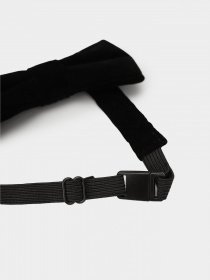 Бабочка H&M модель 075434400_чорний Фото