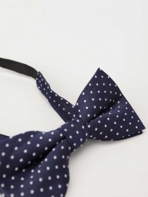 Бабочка H&M модель 07543443_т.синій з білим Фото