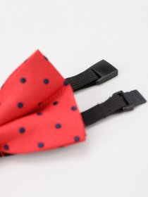 Бабочка H&M модель 0872483_ червоний з т.синім Фото