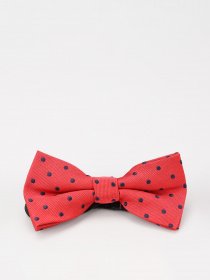 Бабочка H&M модель 0872483_ червоний з т.синім Фото