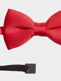 Бабочка H&M модель HMA53 Фото