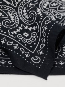 Платок H&M модель 0755487_чорний з білим Фото