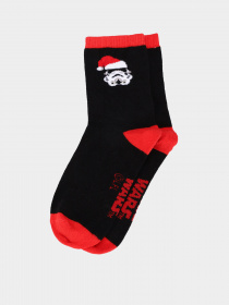 Носки и гольфы H&M модель 0309207_чорний комб. Фото