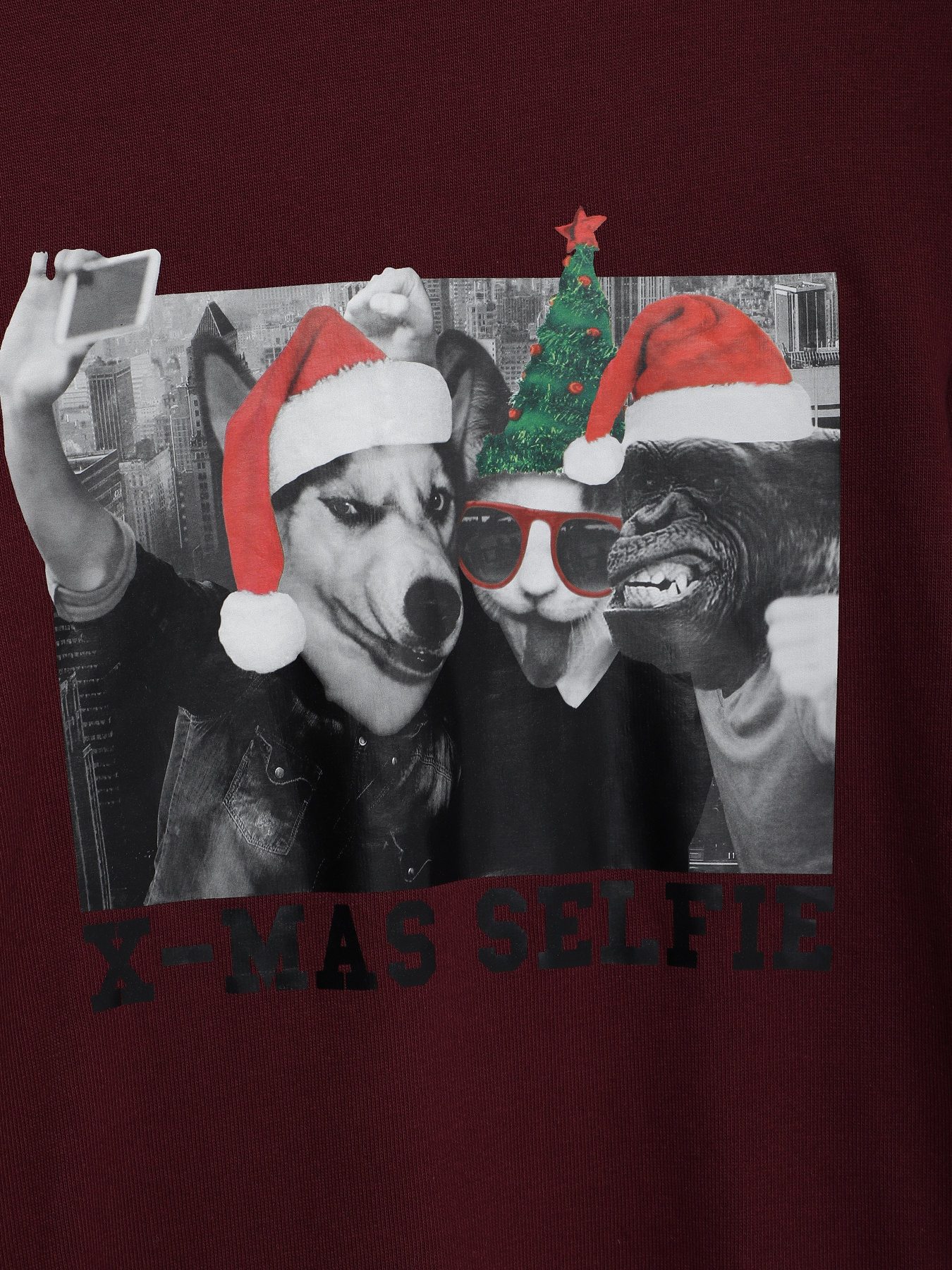 Світшот H&M модель 03916324_т.бордовий Світшот H&M модель 03916324_т.бордовий Фото