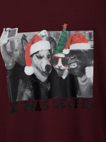 Світшот H&M модель 03916324_т.бордовий Світшот H&M модель 03916324_т.бордовий Фото