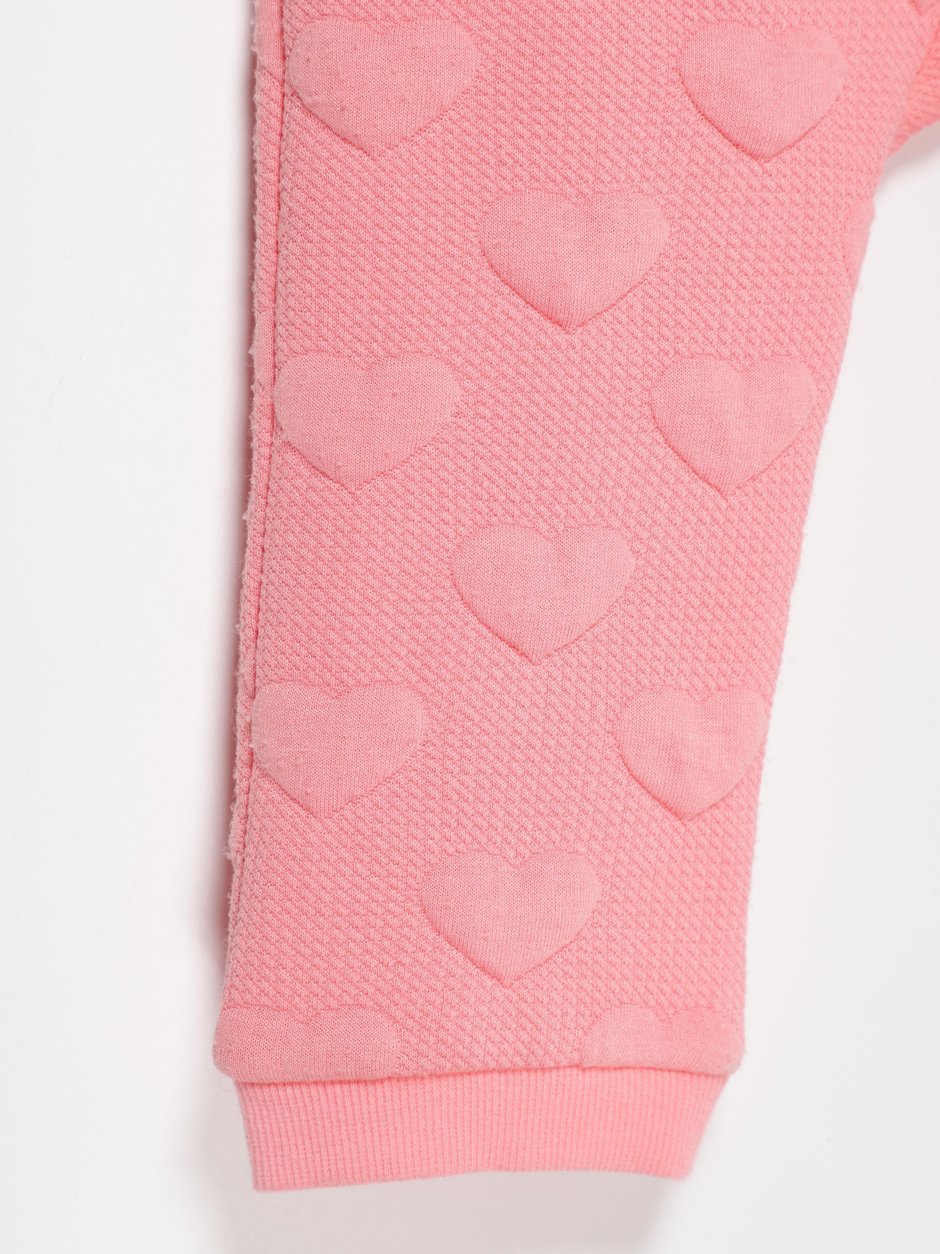 Штани повсякденні H&M модель 04545481_рожевий Фото